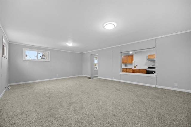 interior space featuring carpet floors and crown molding