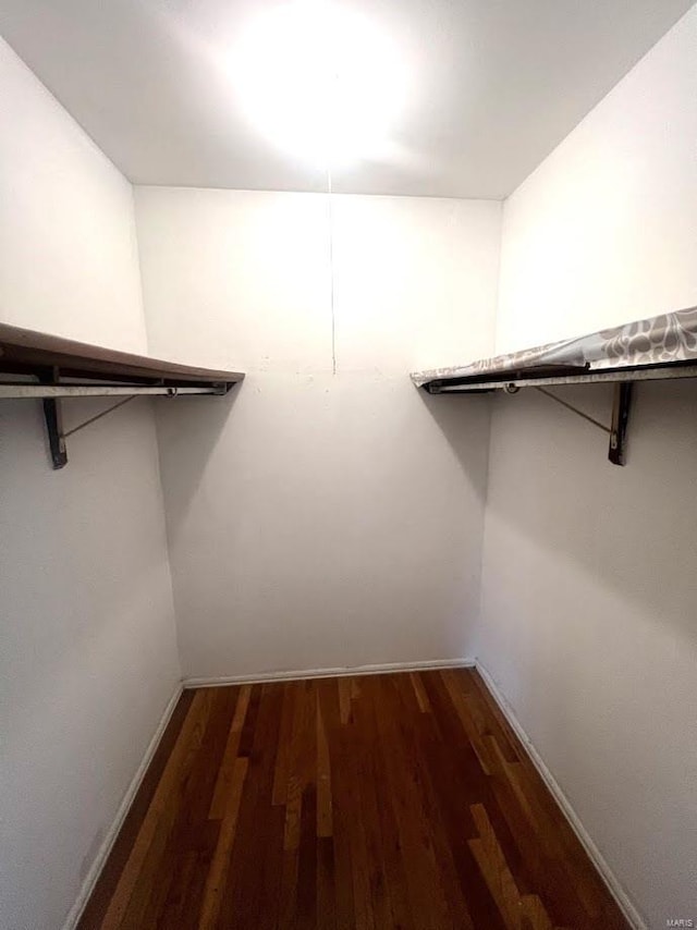 spacious closet featuring dark hardwood / wood-style floors