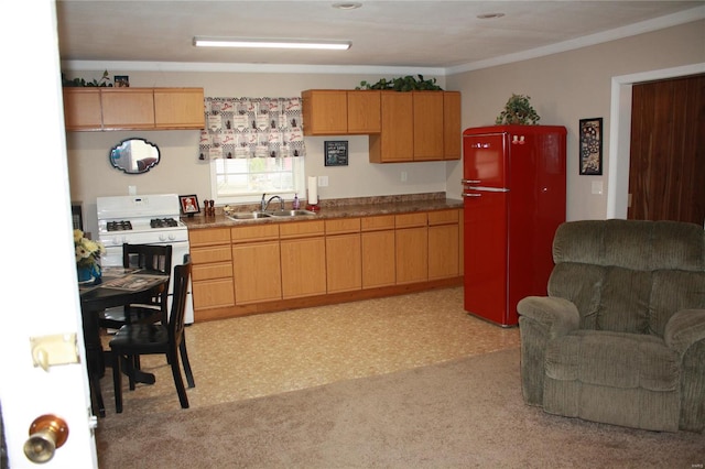 kitchen with white gas range, sink, refrigerator, light carpet, and ornamental molding