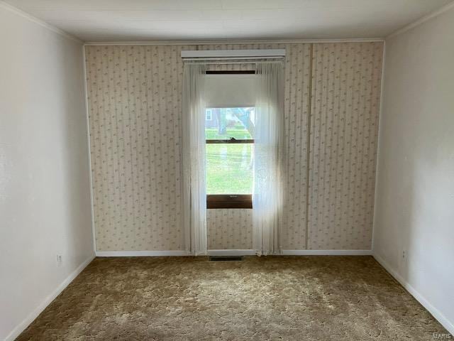 spare room featuring ornamental molding and carpet floors