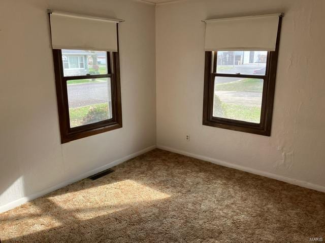 unfurnished room with carpet