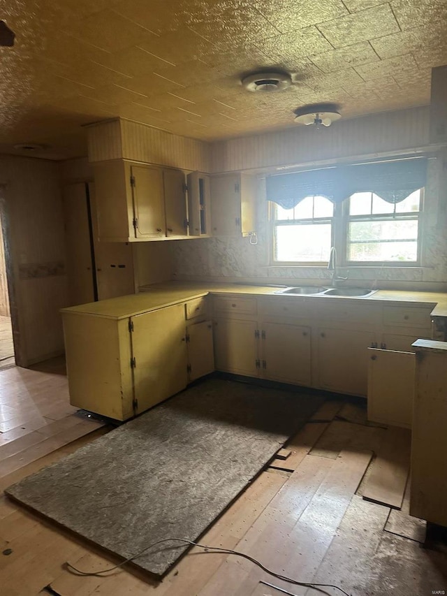 kitchen with cream cabinetry, light hardwood / wood-style floors, and sink