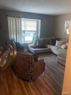 living room featuring hardwood / wood-style flooring