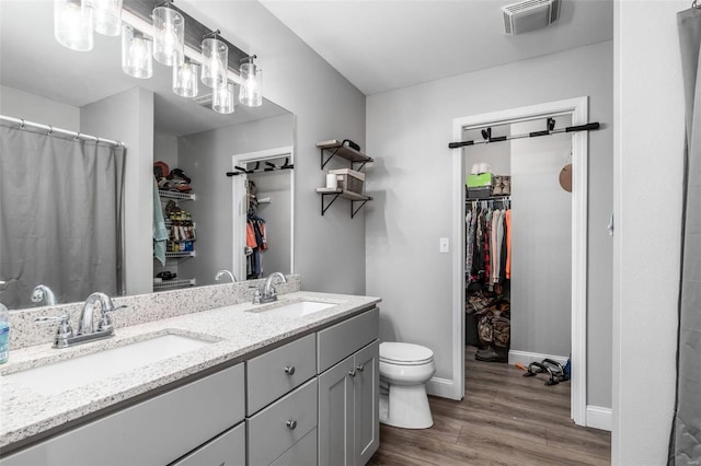 bathroom with vanity, wood-type flooring, and toilet