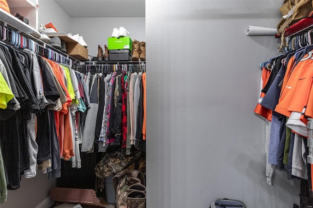 view of spacious closet