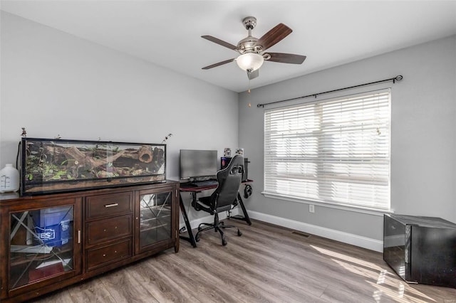 office featuring hardwood / wood-style flooring and ceiling fan