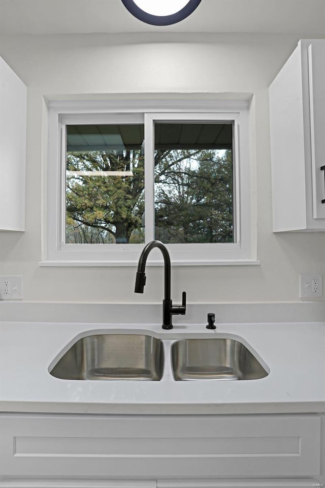 details featuring white cabinets and sink