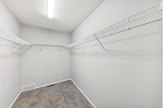 spacious closet featuring carpet flooring