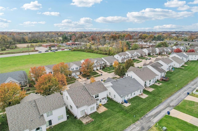 bird's eye view