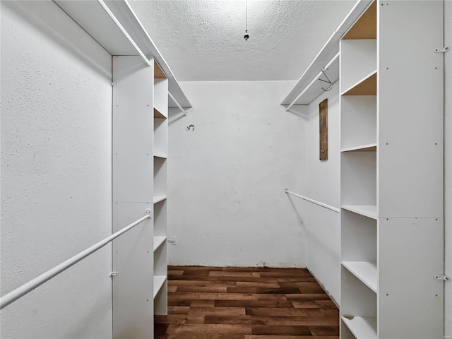 spacious closet featuring dark hardwood / wood-style floors