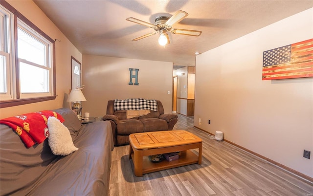 living room with ceiling fan and wood-type flooring