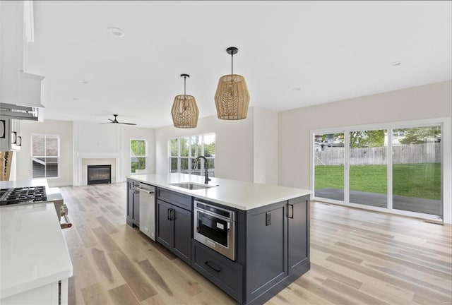 kitchen with hanging light fixtures, sink, a healthy amount of sunlight, and light hardwood / wood-style floors