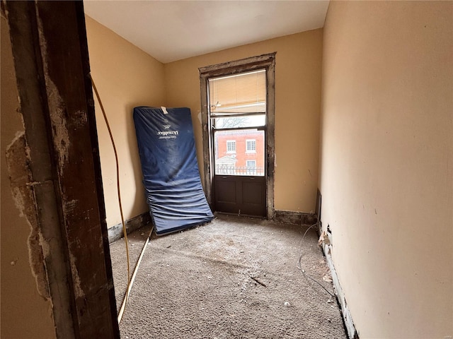 miscellaneous room with carpet floors