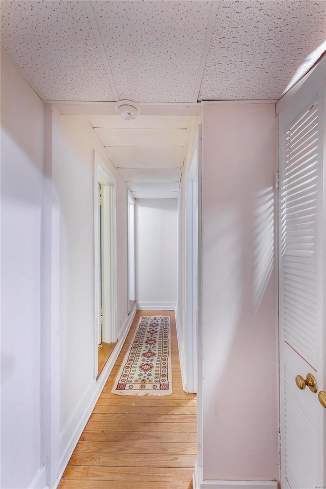 hall with a drop ceiling and wood-type flooring