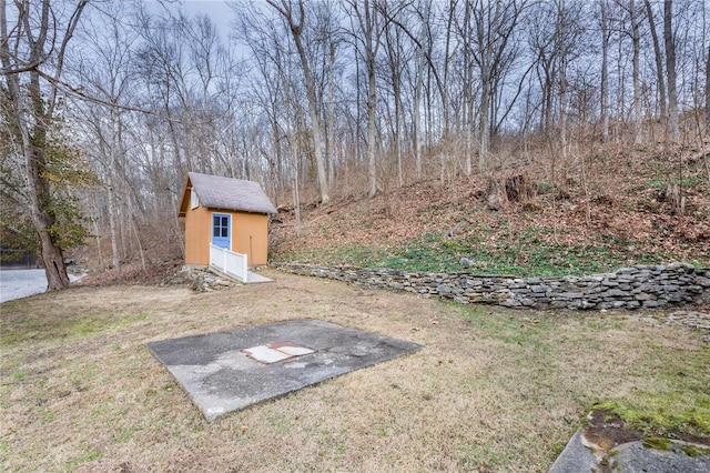 view of yard with a storage shed