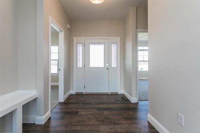 entrance foyer with a healthy amount of sunlight and dark hardwood / wood-style floors