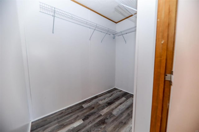 walk in closet featuring dark wood-type flooring