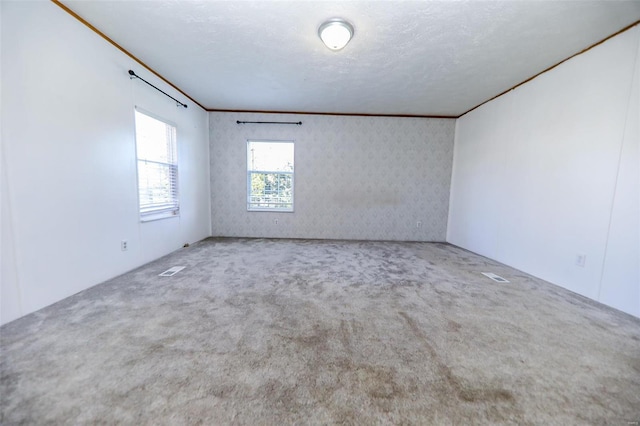 empty room featuring carpet, crown molding, and a textured ceiling