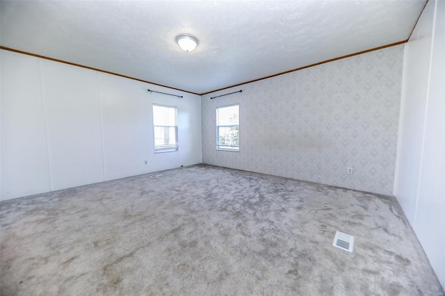 carpeted empty room featuring a textured ceiling and crown molding