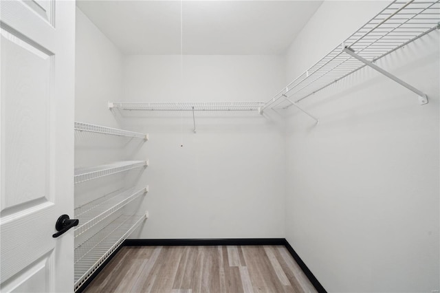 spacious closet with wood-type flooring