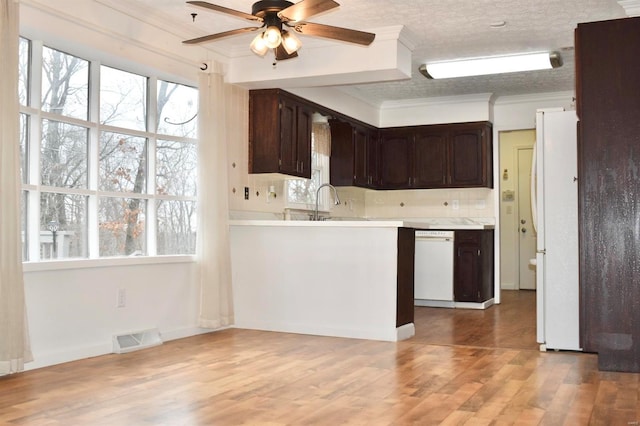 kitchen with ceiling fan, dark brown cabinetry, white appliances, and ornamental molding