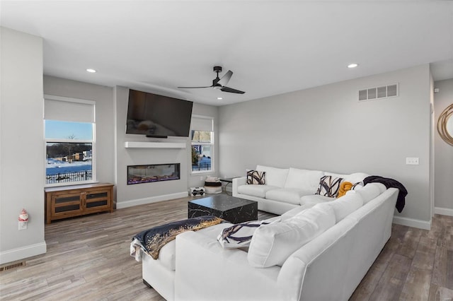 living room featuring ceiling fan and wood-type flooring