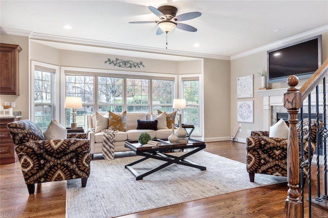 living room featuring crown molding, ceiling fan, and dark wood-type flooring