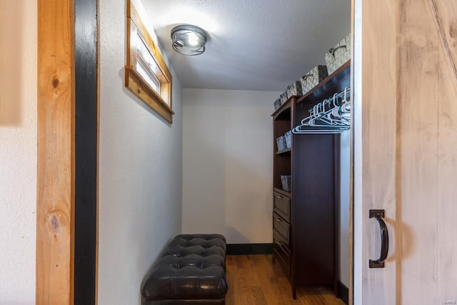 spacious closet with hardwood / wood-style flooring