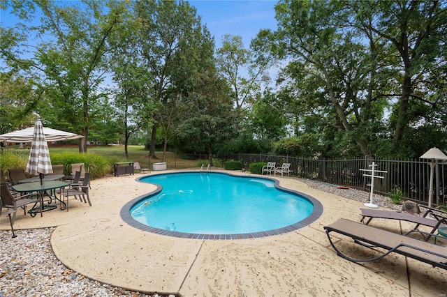 view of pool featuring a patio