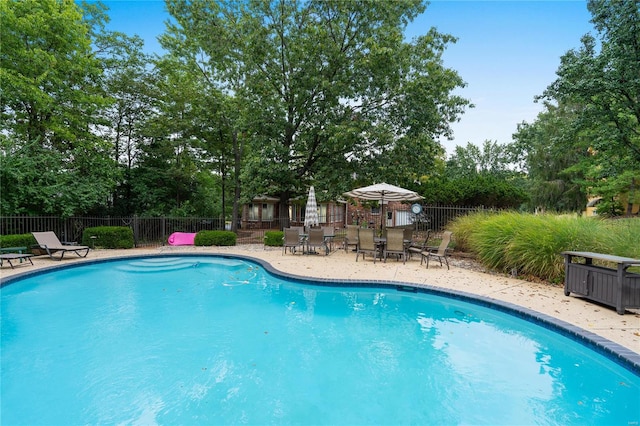 view of swimming pool featuring a patio area