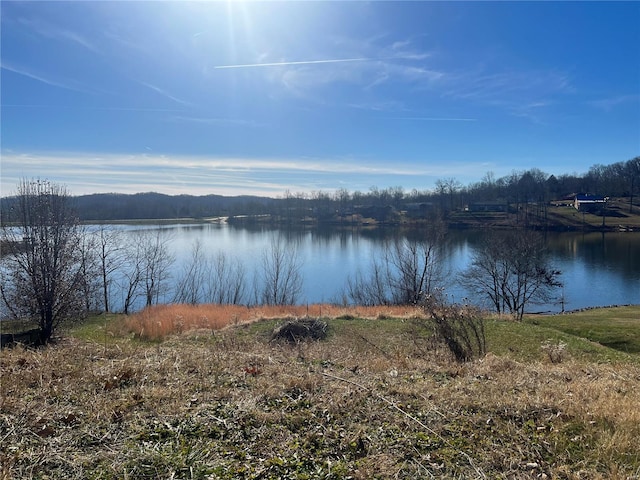 731 Bella Vista Dr, Jackson MO, 63755 land for sale