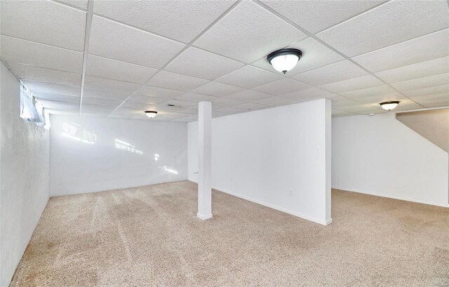 basement with carpet flooring and a paneled ceiling