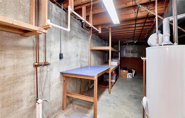 basement with gas water heater and electric panel