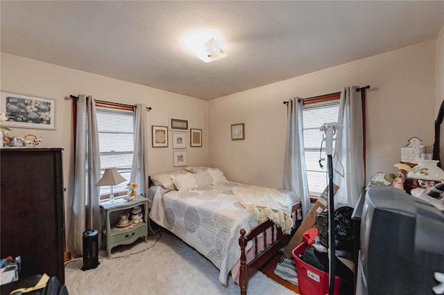 bedroom featuring carpet flooring and multiple windows