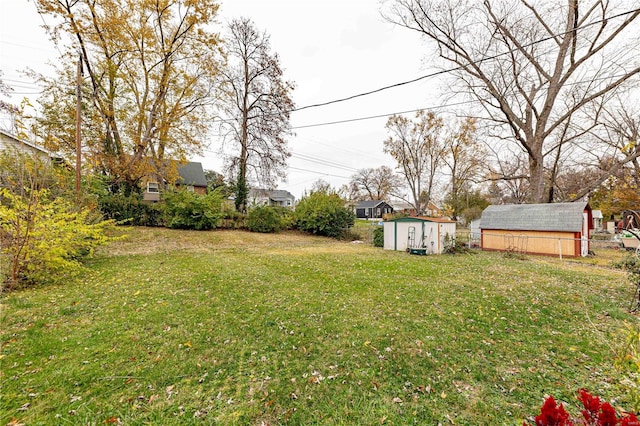 view of yard with a storage unit