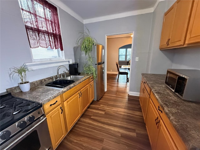 kitchen featuring dark hardwood / wood-style flooring, ornamental molding, sink, and appliances with stainless steel finishes