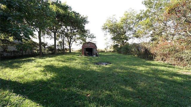 view of yard featuring a storage shed