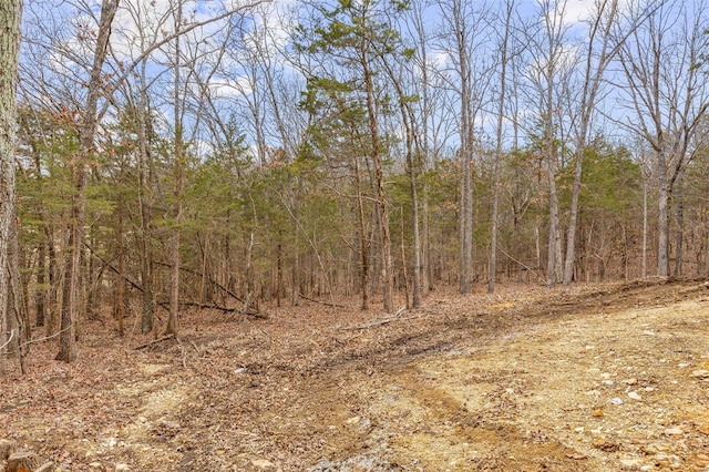 view of landscape featuring a forest view