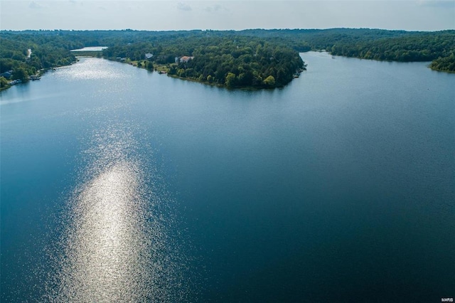 bird's eye view featuring a water view and a wooded view