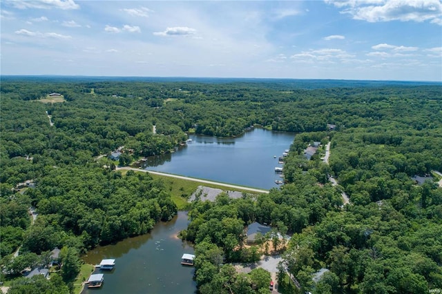 bird's eye view with a water view and a wooded view