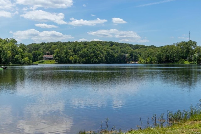 view of water feature with a wooded view