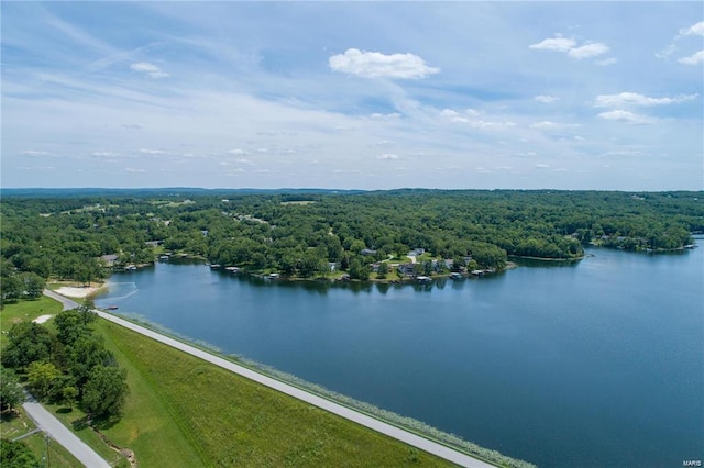 drone / aerial view featuring a water view and a view of trees