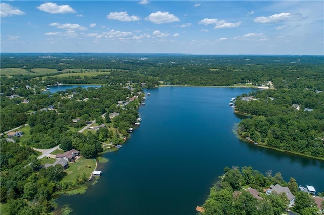 aerial view with a water view and a wooded view