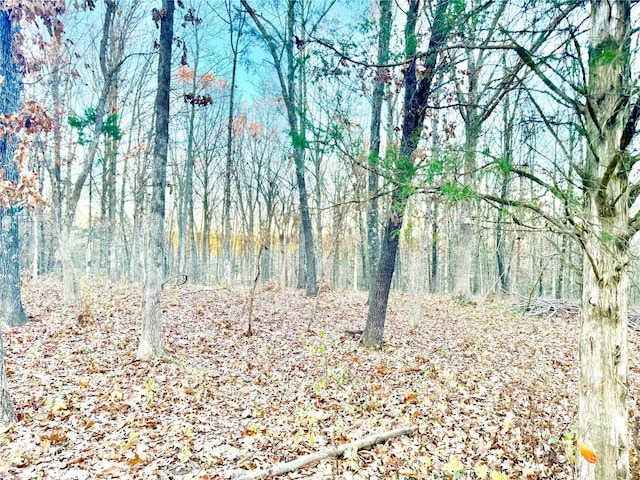 view of local wilderness