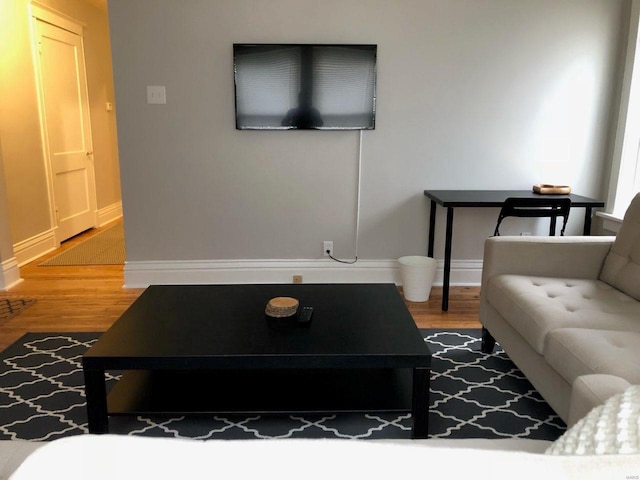 living room featuring wood-type flooring