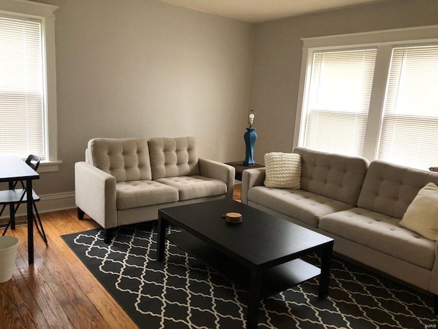 living room with wood-type flooring and a wealth of natural light