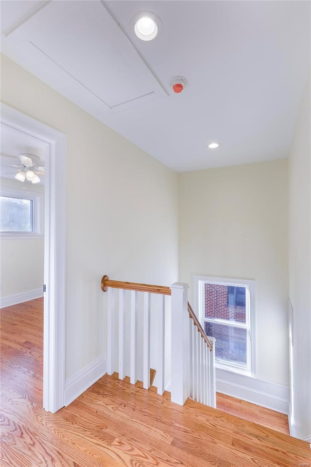 staircase featuring hardwood / wood-style floors and a wealth of natural light