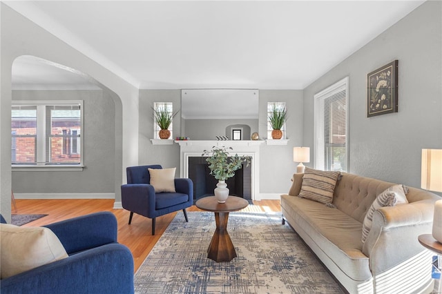 living room with hardwood / wood-style flooring