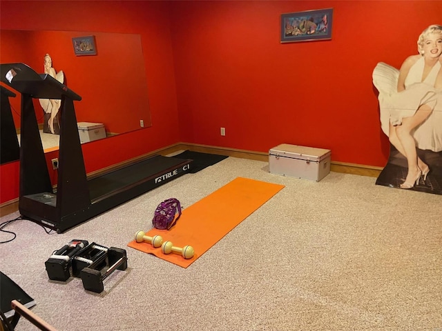 exercise area featuring carpet flooring