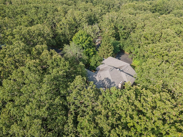 aerial view with a wooded view